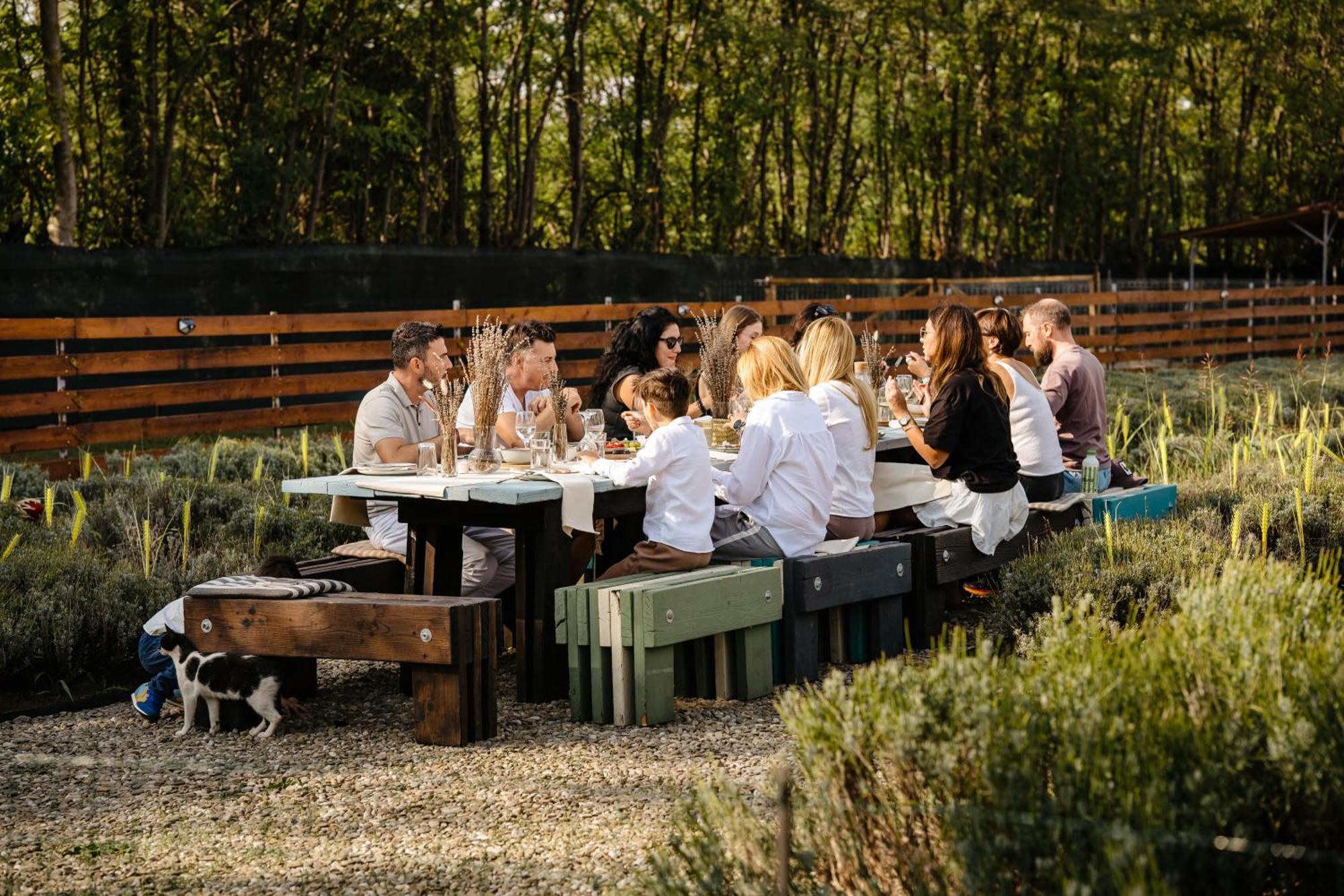 Hotel The Tribe Alpaca Retreat Branesti Exteriér fotografie