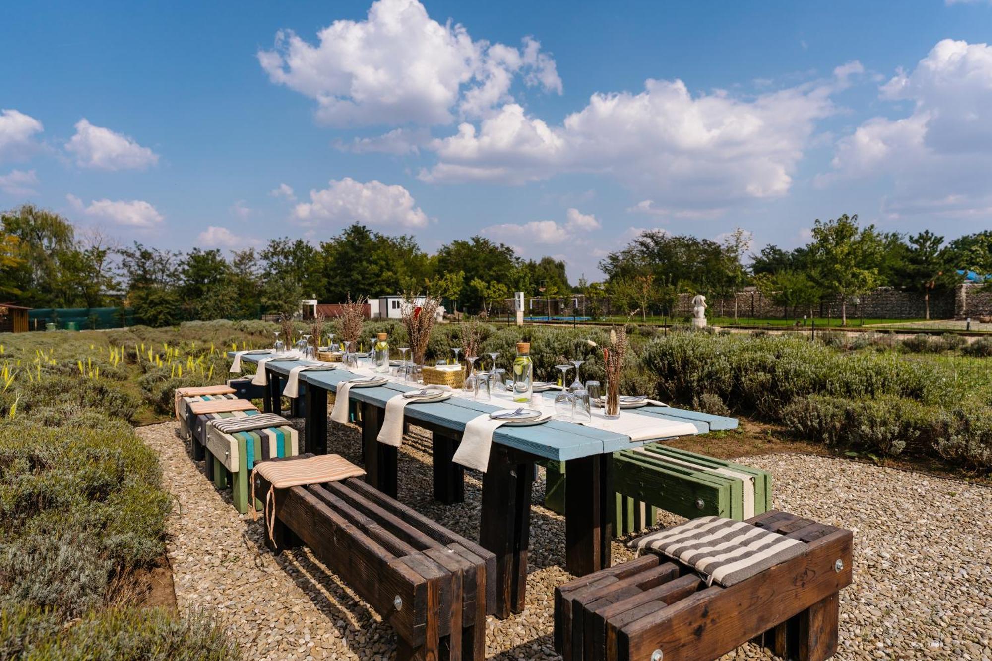 Hotel The Tribe Alpaca Retreat Branesti Exteriér fotografie
