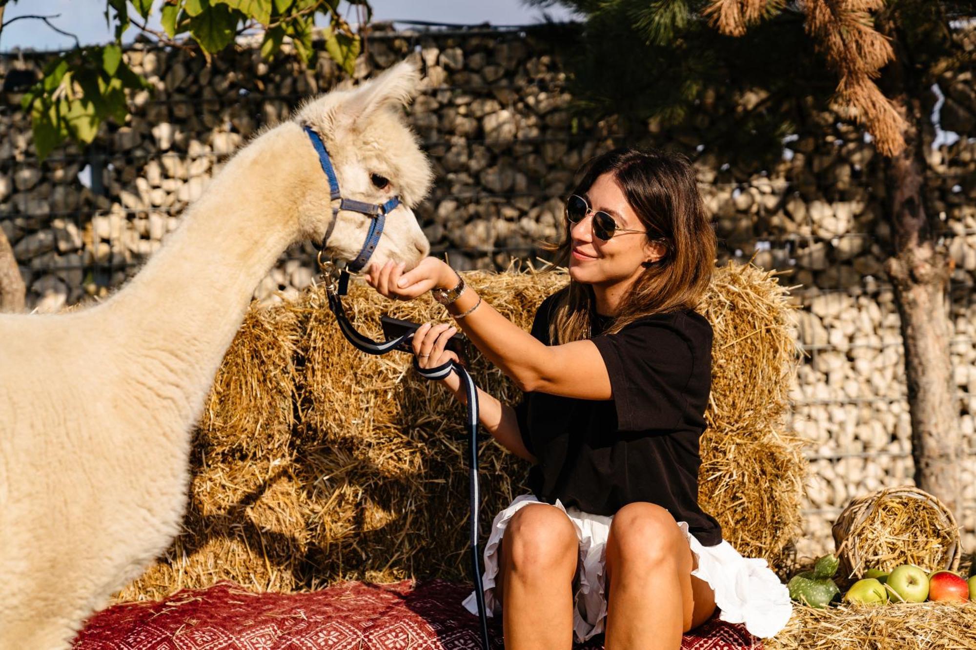 Hotel The Tribe Alpaca Retreat Branesti Exteriér fotografie